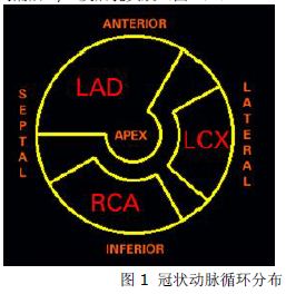 图片信息