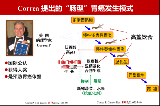 刘文忠教授从筛查与根除幽门螺杆菌预防胃癌台北全球共识看我国预防