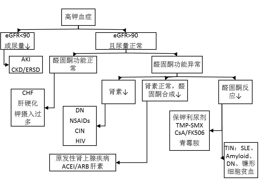 一文读懂钠钾平衡紊乱的常见病因和诊断思路