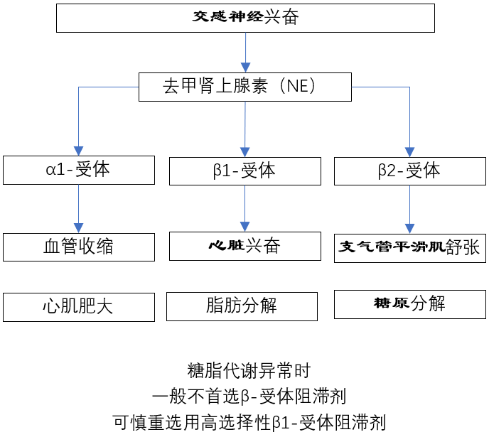 二,高血压伴稳定性心绞痛,首选哪一类降压药?