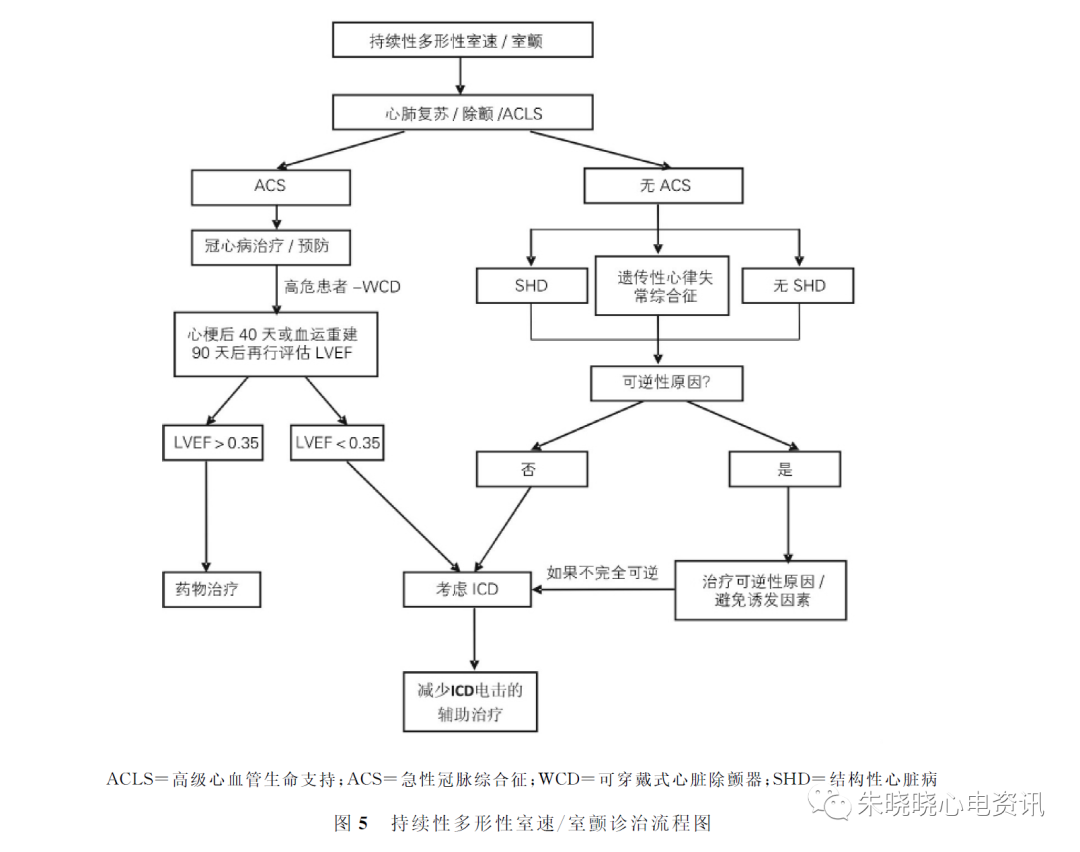 6 持续性多形性室速/室颤诊治流程图见图5.