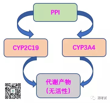 根除hp3.webp.jpg