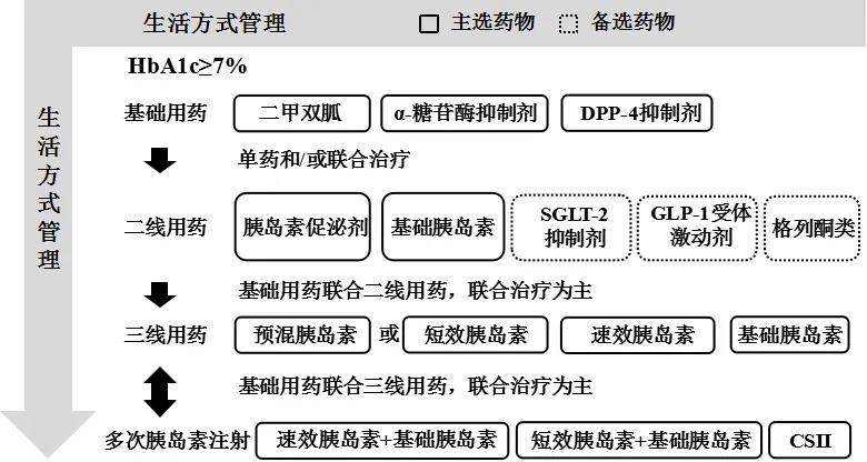 图1 老年2型糖尿病降血糖药物治疗路径