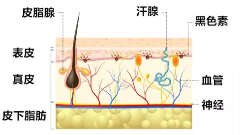 搜狗截图18年01月30日1529_5.png