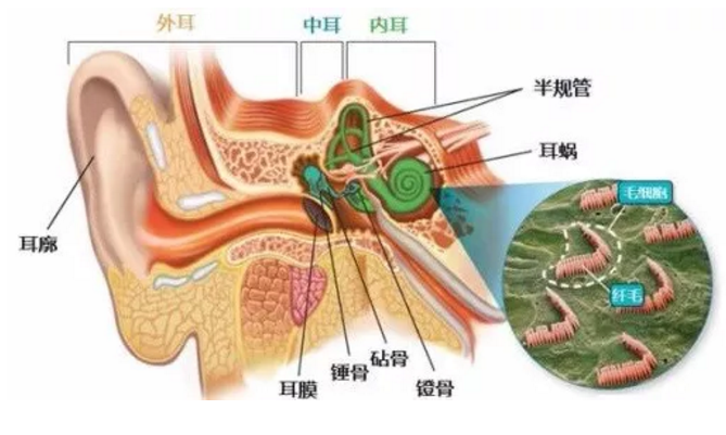 搜狗截图18年03月13日1338_1.png
