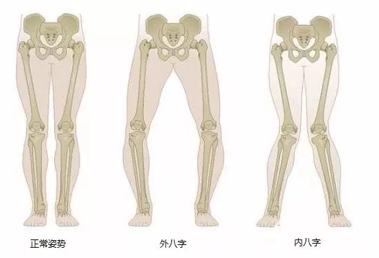 搜狗截图18年03月06日1130_4.png