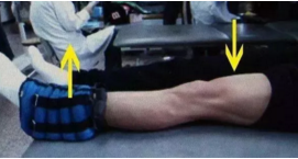 搜狗截图18年04月09日1317_4.png