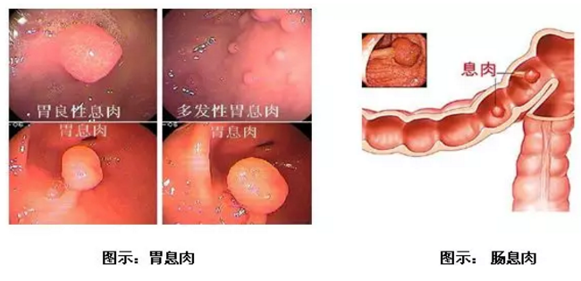 搜狗截图18年02月08日0948_1.png