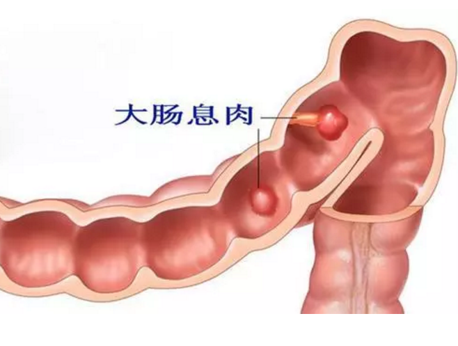 搜狗截图18年02月08日0950_3.png