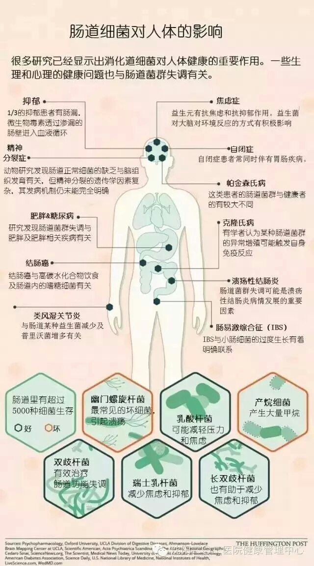 肠道健康新疗法