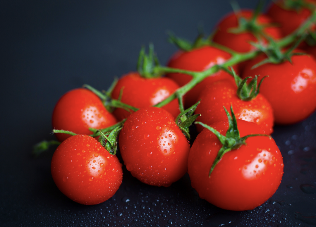 截屏2026-02-24 10.48.22.png