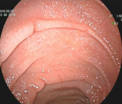 Shape6