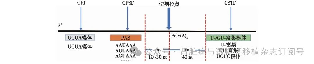 微信图片_20241029160238.png