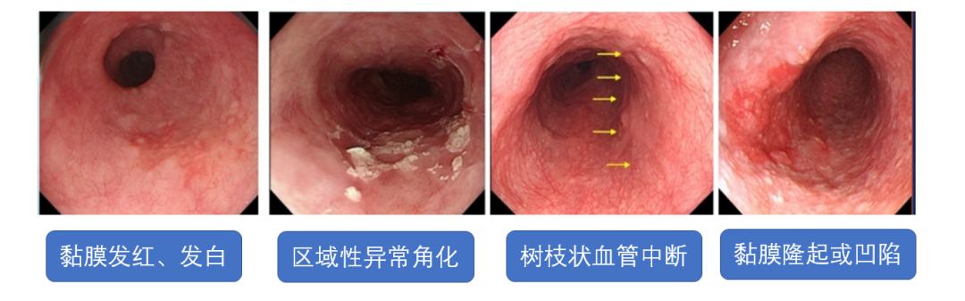 图片20.png