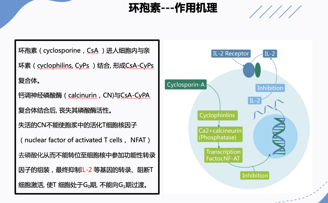 截屏2023-02-01 12.48.08.png