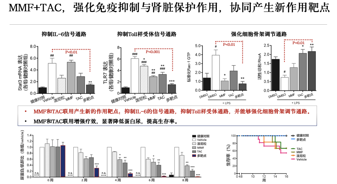 截屏2023-02-01 13.10.32.png
