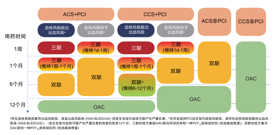 心房颤动诊断和治疗中国指南2023版文章可编辑图表.png