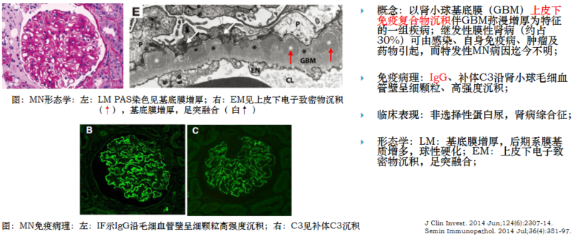 截图_20230201135042.png