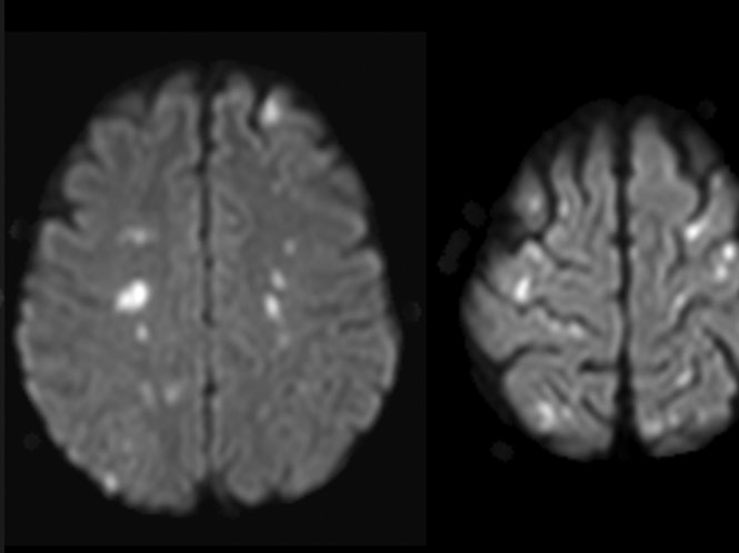 3ed586f9-9b33-4a64-8526-504b80563580.png