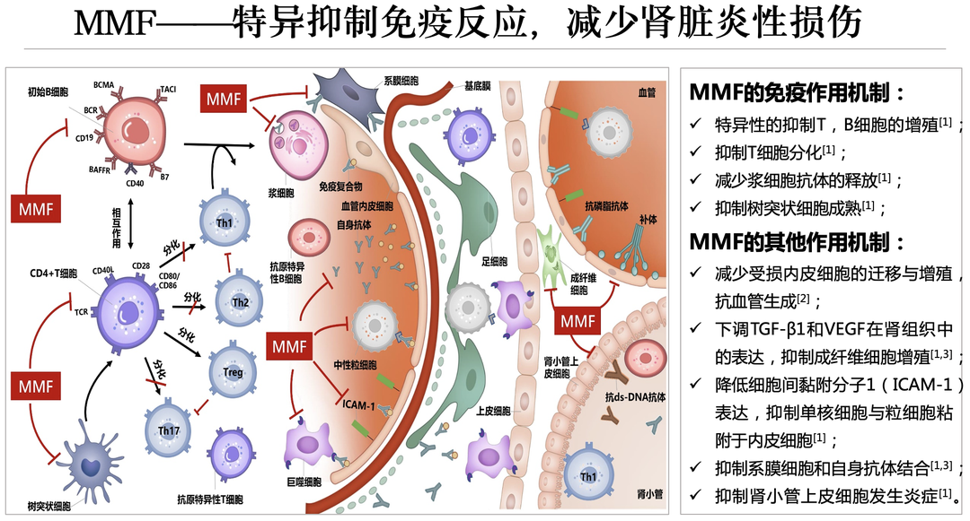 截屏2023-02-01 13.09.52.png