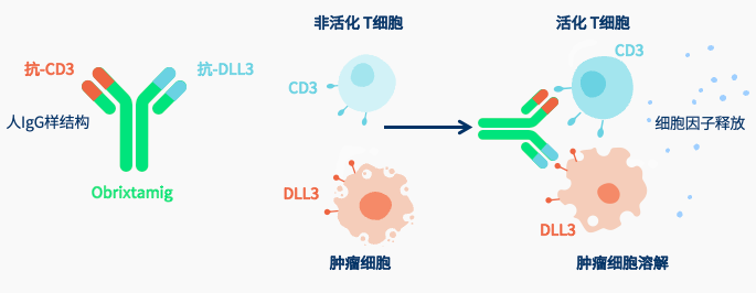 微信图片_20250611150709.png