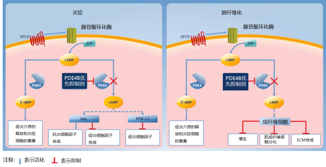 图2.png