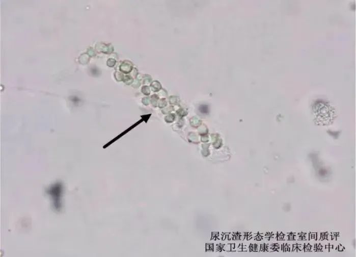 1c84ea6c04a0aac2ed56325298715f72.jpg