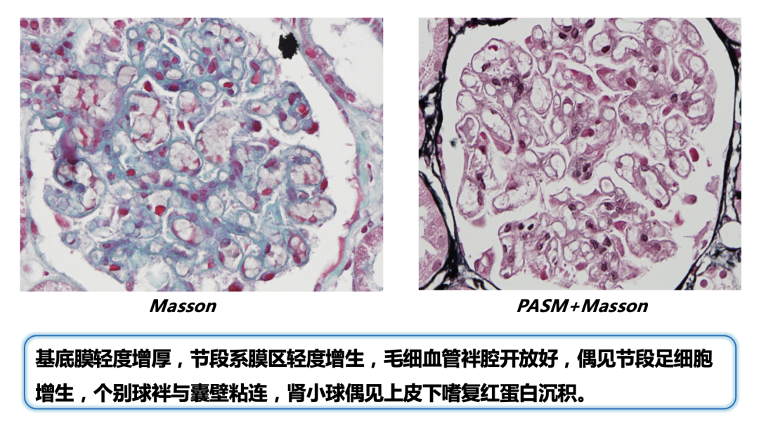 截屏2023-02-01 10.39.39.png