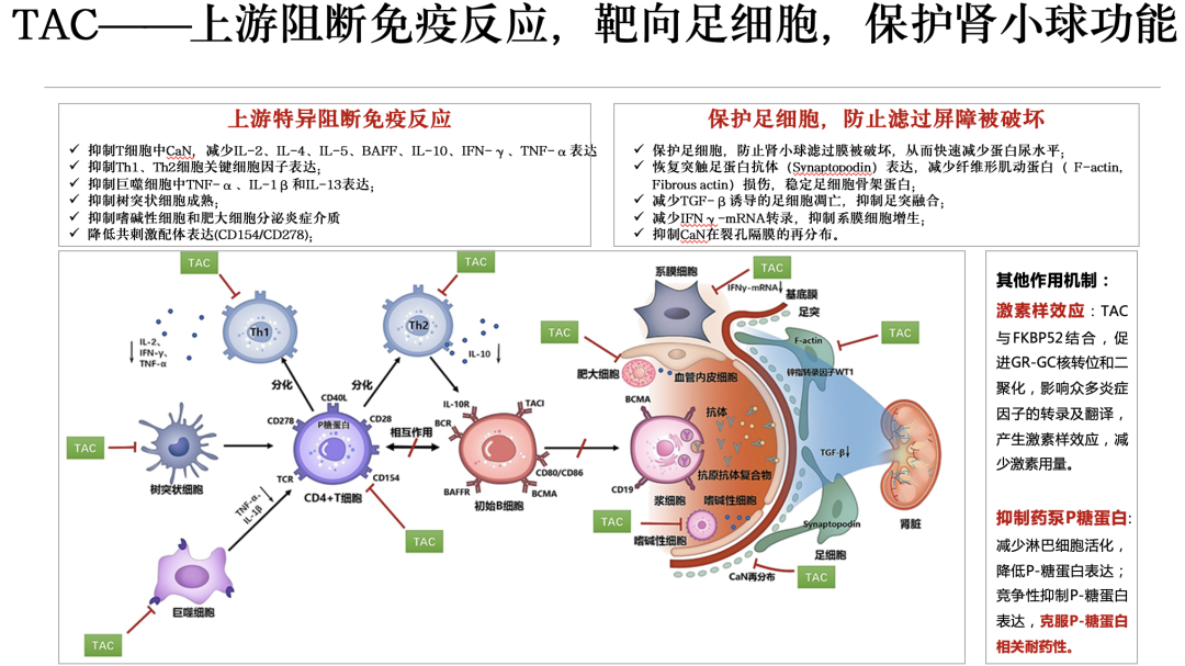 截屏2023-02-01 13.10.12.png