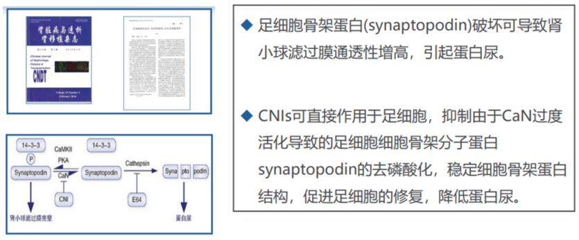 截图_20230201133119.png