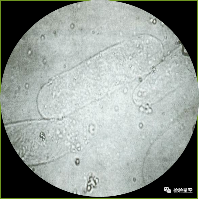 微信图片_20230914152518_1.png