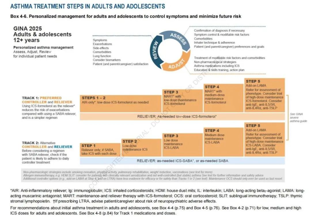 GINA-Strategy-Report_2025-WEB-WMS_77.jpg
