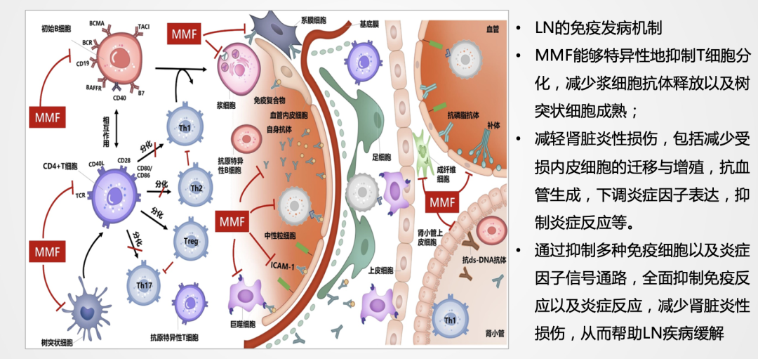 截屏2023-01-19 14.01.17.png