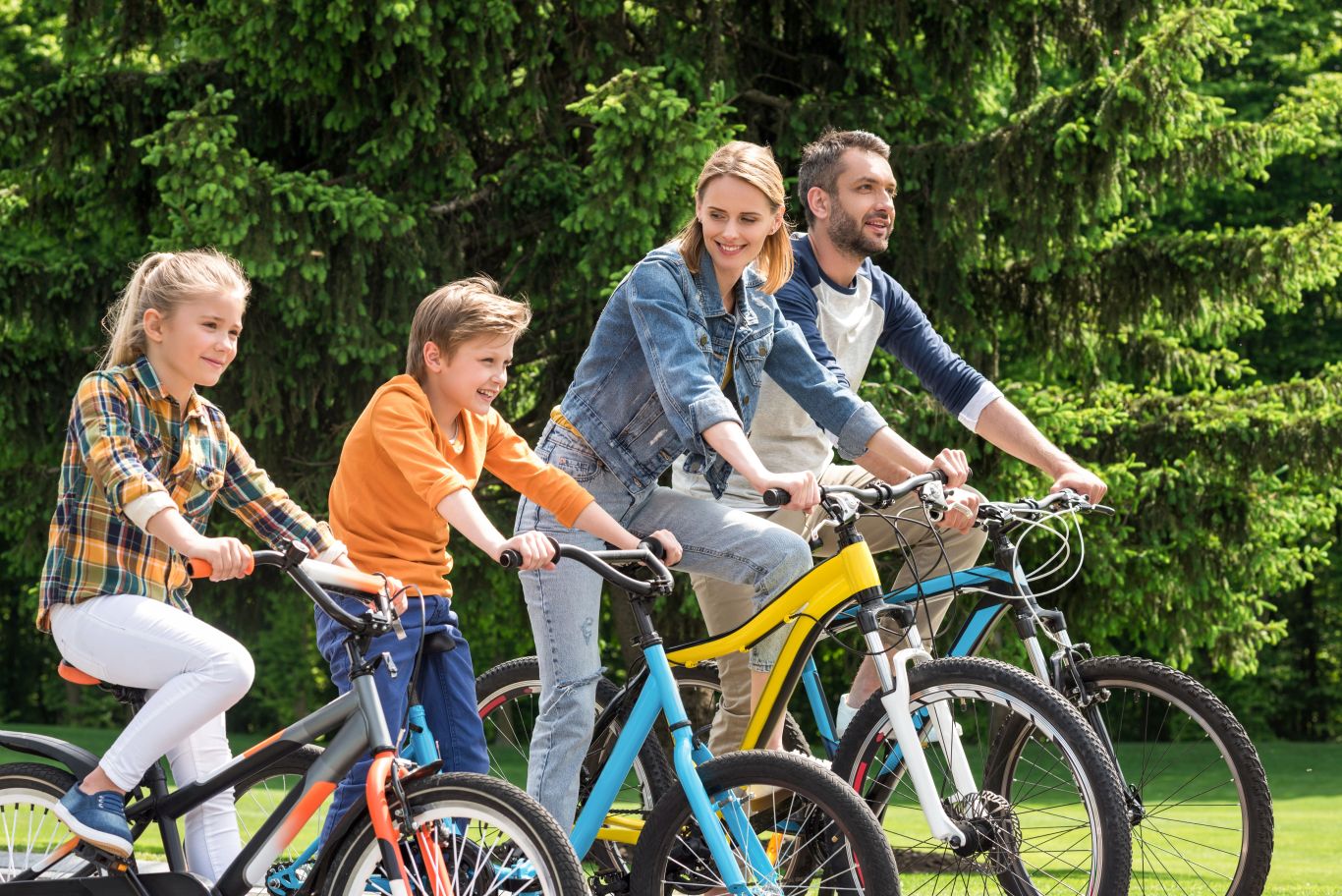 stock-image-159131968-XL.jpg