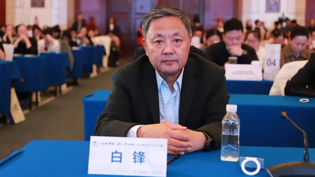 大会执行主席 白锋教授.JPG