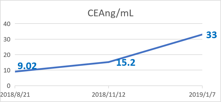 二期治疗期间CEA水平变化.png