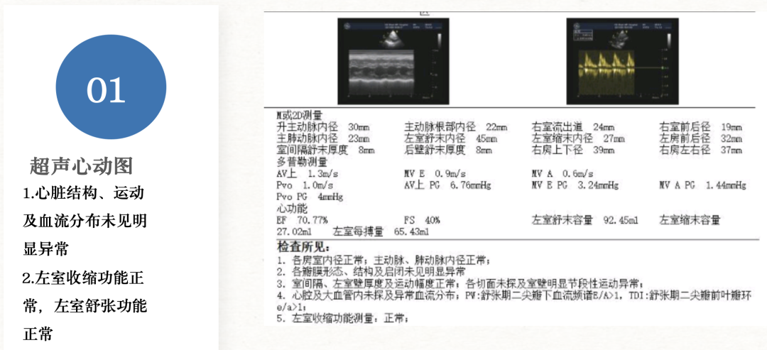 截屏2023-02-01 12.59.50.png