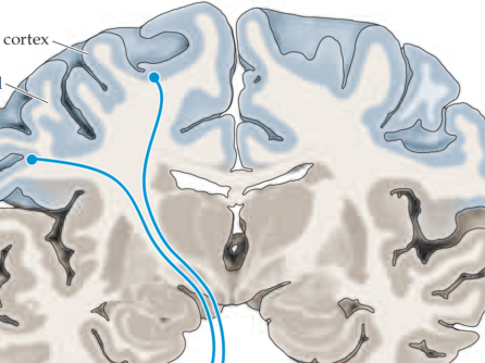 81995904-5de7-4c66-ab12-b47e9d53f589.png