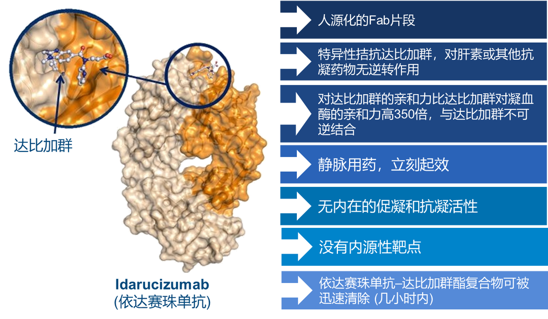 张艳敏图一.png