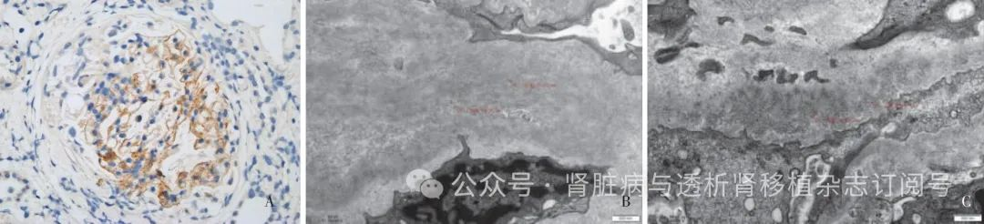 微信图片_20241104101422.png