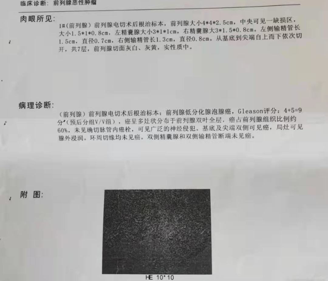 图片66.png