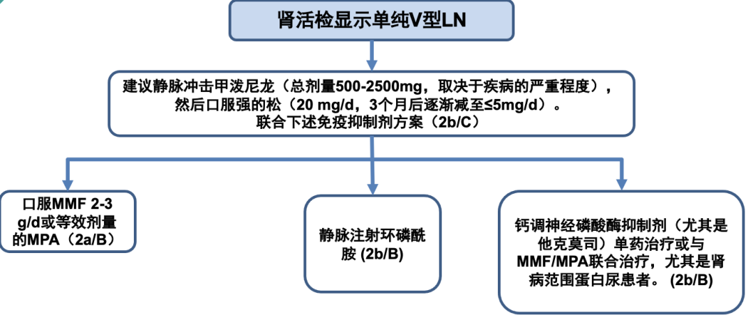 截屏2023-02-01 13.40.52.png