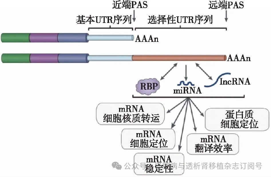 微信图片_20241029160354.png