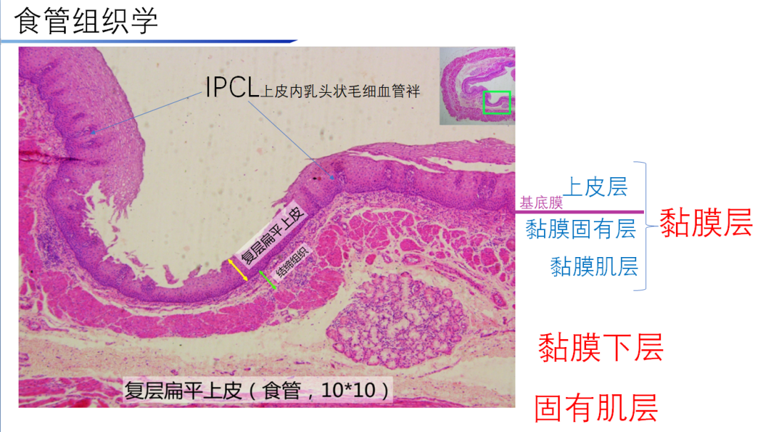 图片19.png