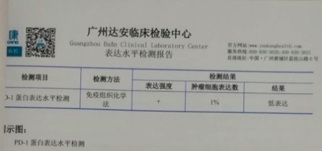 图片62.png