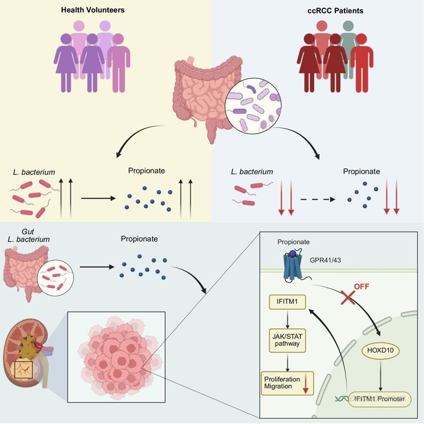 640?wx_fmt=png&from=appmsg