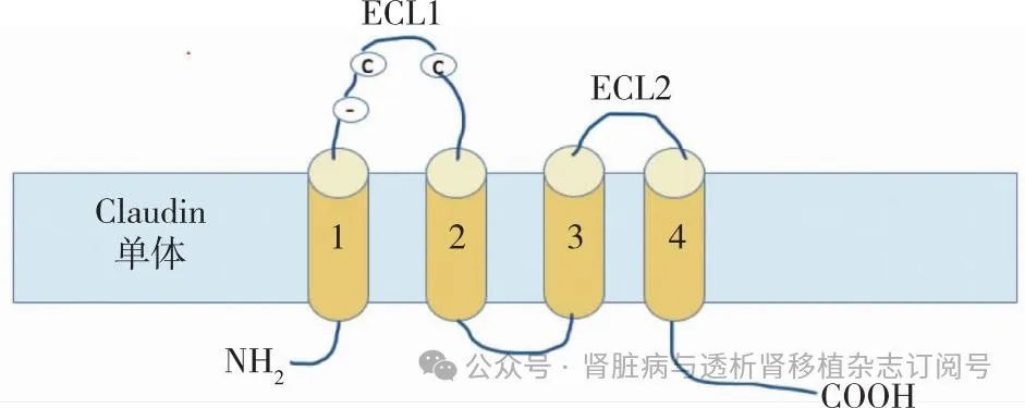 微信图片_20241030163550.png