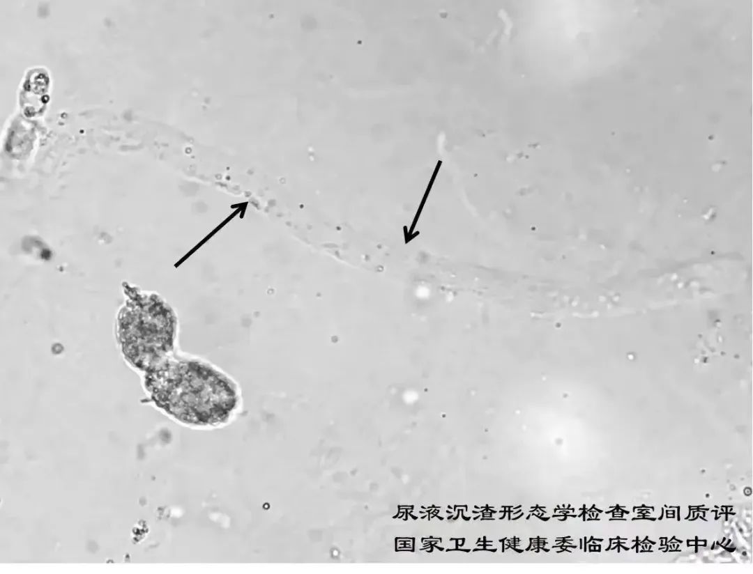 05c2e4971bf937b52c0202d476d54cae.jpg