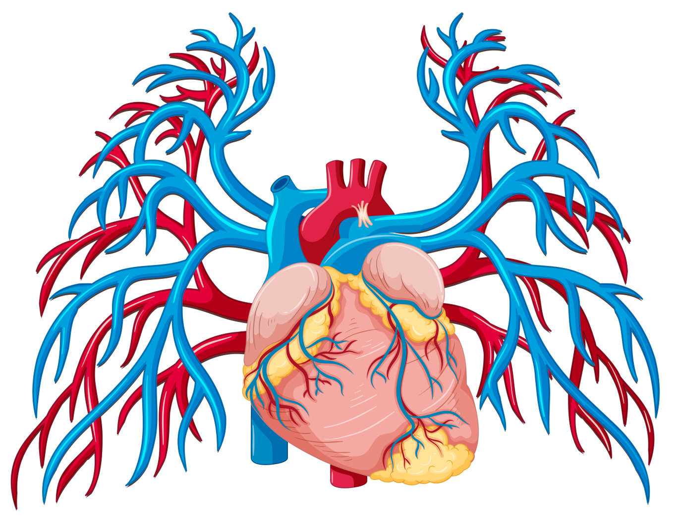 stock-vector-200347102-XL.jpg