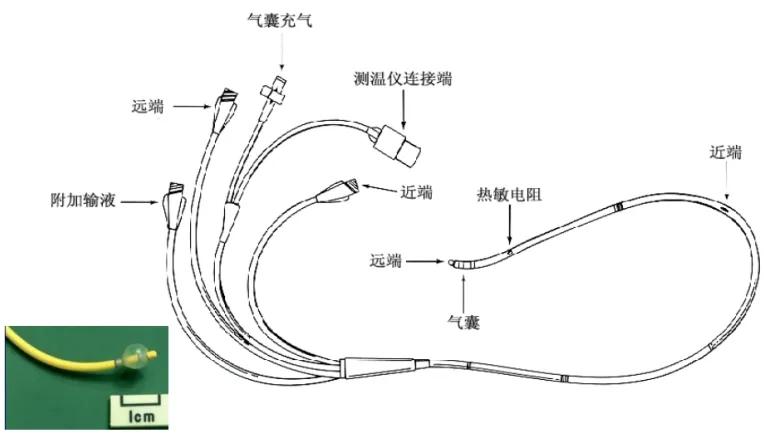 微信图片_20241022152408.png